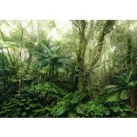 Komar Vliestapete "Digitaldruck Vlies - Mindfulness - Größe 350 x 250 cm", bedruckt, Wohnzimmer, Schlafzimmer Komar Vliestapete "Digitaldruck Vlies - Mindfulness - Größe 350 x 250 cm", bedruckt, Wohnzimmer, Schlafzimmer von Komar
