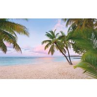 Komar Vliestapete "Digitaldruck Vlies - Paradise Morning - Größe 400 x 250 cm", bedruckt, Wohnzimmer, Schlafzimmer Komar Vliestapete "Digitaldruck Vlies - Paradise Morning - Größe 400 x 250 cm", bedruckt, Wohnzimmer, Schlafzimmer von Komar