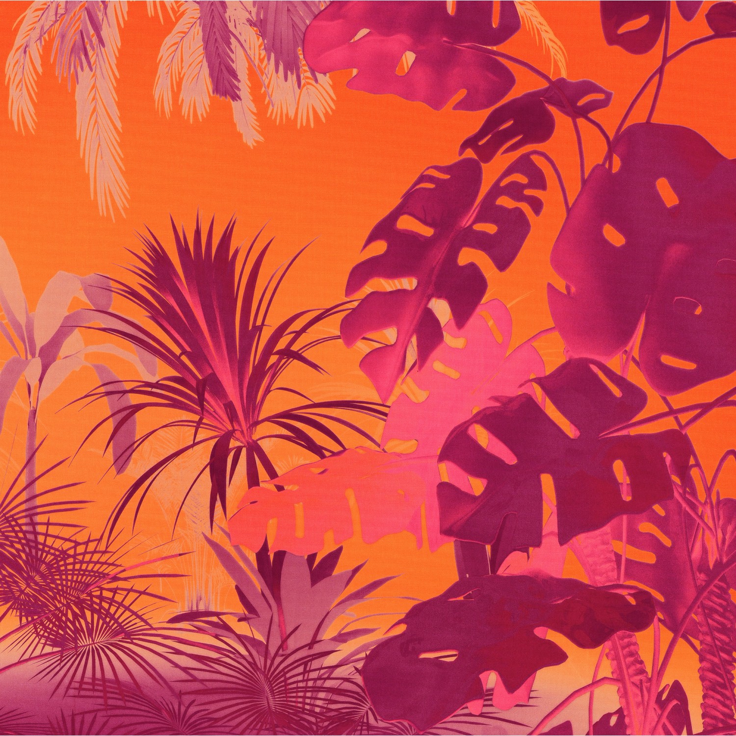 Komar Vliestapete Funky Jungle 250 cm x 250 cm Orange Komar Vliestapete Funky Jungle 250 cm x 250 cm Orange von Komar