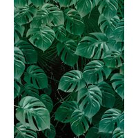 Komar Vliestapete "Monstera on Marble" von Komar