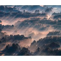 Komar Vliestapete "Digitaldruck Vlies - Rays - Größe 300 x 250 cm", bedruckt, Wohnzimmer, Schlafzimmer Komar Vliestapete "Digitaldruck Vlies - Rays - Größe 300 x 250 cm", bedruckt, Wohnzimmer, Schlafzimmer von Komar