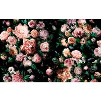 Komar Vliestapete "Digitaldruck Vlies - Victoria Black - Größe 400 x 250 cm", bedruckt, Wohnzimmer, Schlafzimmer Komar Vliestapete "Digitaldruck Vlies - Victoria Black - Größe 400 x 250 cm", bedruckt, Wohnzimmer, Schlafzimmer von Komar