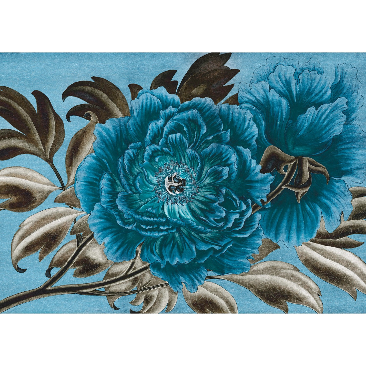 Komar Vliestapete Royal Peony  350 x 250 cm von Komar