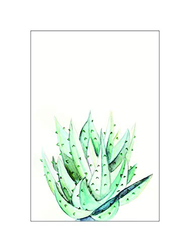 Komar Wandbild | Aloe Watercolor | Poster, Bild, Wohnzimmer, Schlafzimmer, Dekoration, Kunstdruck | ohne Rahmen | P070C-30x40 | Größe: 30 x 40 cm (Breite x Höhe) von Komar