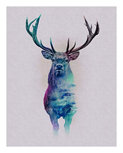 Komar Wandbild | Animals Forest Deer | Poster, Bild, Wohnzimmer, Schlafzimmer, Dekoration, Kunstdruck | ohne Rahmen | P084C-40x50 | Größe: 40 x 50 cm (Breite x Höhe), Bunt von Komar