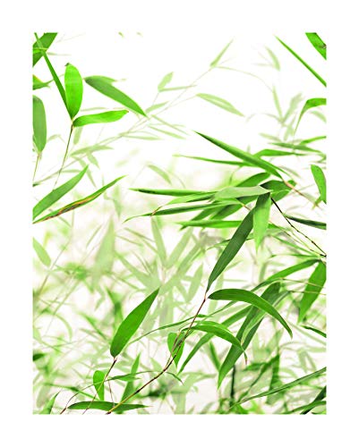 Komar Wandbild | Bamboo Leaves | Poster, Bild, Wohnzimmer, Schlafzimmer, Dekoration, Kunstdruck | ohne Rahmen | P060-40x50 | Größe: 40 x 50 cm (Breite x Höhe) von Komar