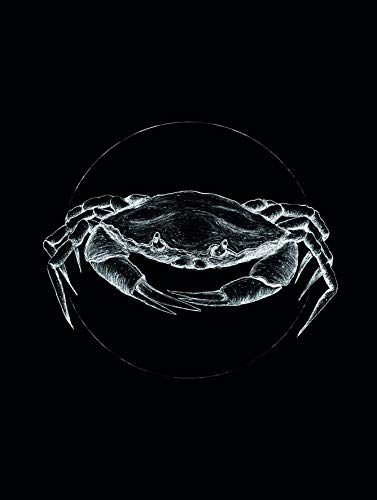 Komar Wandbild | Crab Black | Poster, Bild, Wohnzimmer, Schlafzimmer, Dekoration, Kunstdruck | ohne Rahmen | P080D-30x40 | Größe: 30 x 40 cm (Breite x Höhe) von Komar