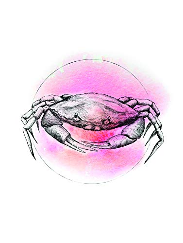 Komar Wandbild | Crab Watercolor | Poster, Bild, Wohnzimmer, Schlafzimmer, Dekoration, Kunstdruck | ohne Rahmen | P080B-30x40 | Größe: 30 x 40 cm (Breite x Höhe) von Komar