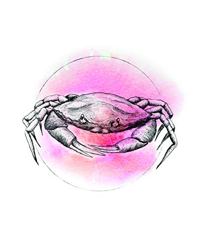 Komar Wandbild | Crab Watercolor | Poster, Bild, Wohnzimmer, Schlafzimmer, Dekoration, Kunstdruck | ohne Rahmen | P080B-40x50 | Größe: 40 x 50 cm (Breite x Höhe) von Komar