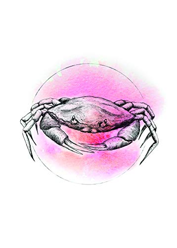 Komar Wandbild | Crab Watercolor | Poster, Bild, Wohnzimmer, Schlafzimmer, Dekoration, Kunstdruck | ohne Rahmen | P080B-50x70 | Größe: 50 x 70 cm (Breite x Höhe) von Komar