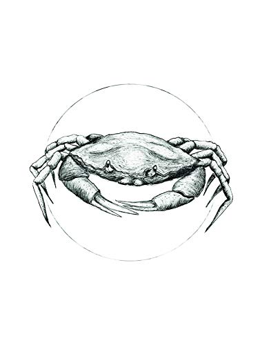 Komar Wandbild | Crab White | Poster, Bild, Wohnzimmer, Schlafzimmer, Dekoration, Kunstdruck | ohne Rahmen | P080A-30x40 | Größe: 30 x 40 cm (Breite x Höhe) von Komar