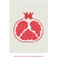 Komar Wandbild "Cultivated Pomegranate", (1 St.), Deutsches Premium-Poster Fotopapier mit seidenmatter Oberfläche und hoher Lichtbeständigkeit. Für fotorealistische Drucke mit gestochen scharfen Details und hervorragender Farbbrillanz. von Komar