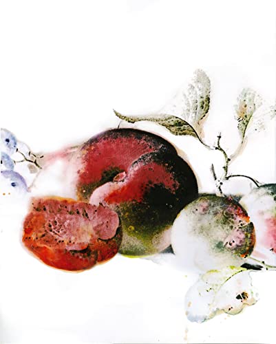 Komar Wandbild - Dessert Fruité - Größe: 40 x 50 cm - Poster, Kunstdruck, Dekoration, Wohnzimmer, Schlafzimmer Komar Wandbild - Dessert Fruité - Größe: 40 x 50 cm - Poster, Kunstdruck, Dekoration, Wohnzimmer, Schlafzimmer von Komar