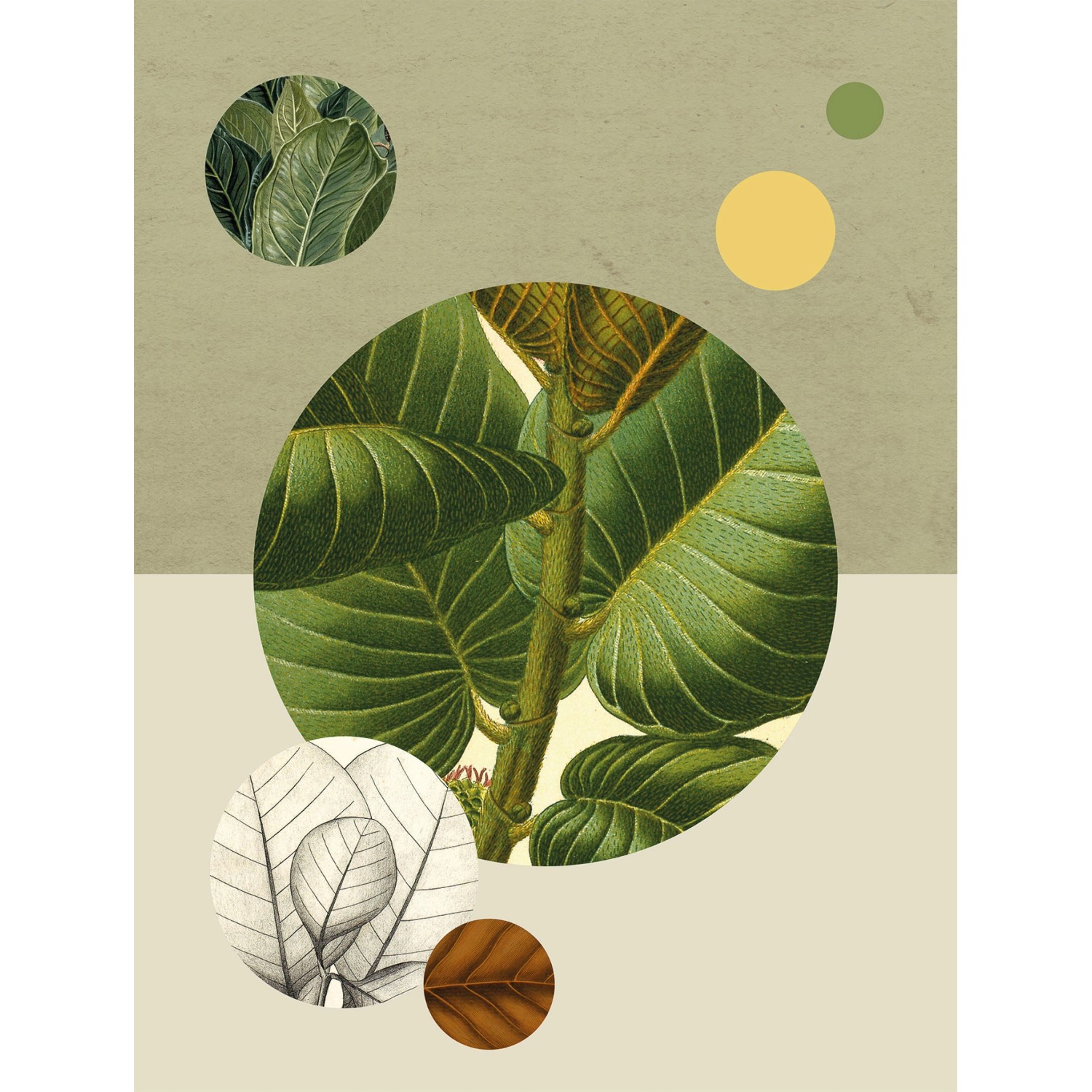 Komar Wandbild Green Structure 30 x 40 cm von Komar