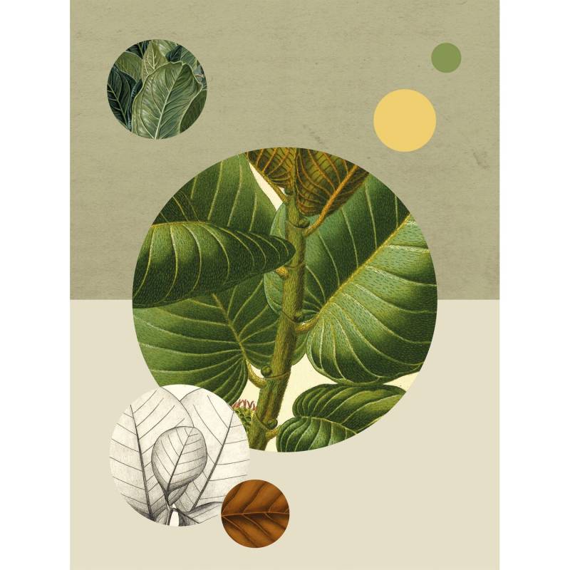 Komar Wandbild Green Structure 30 x 40 cm von Komar