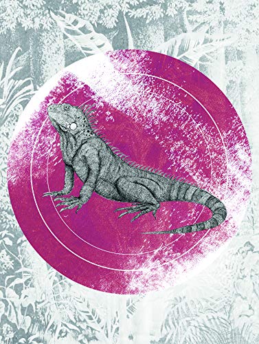 Komar Wandbild | Iguana Circle | Poster, Bild, Wohnzimmer, Schlafzimmer, Dekoration, Kunstdruck | ohne Rahmen | P077C-30x40 | Größe: 30 x 40 cm (Breite x Höhe) von Komar