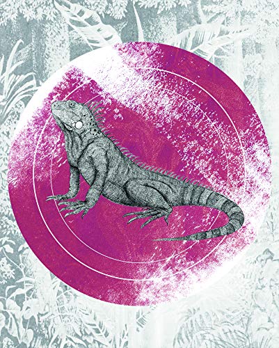 Komar Wandbild | Iguana Circle | Poster, Bild, Wohnzimmer, Schlafzimmer, Dekoration, Kunstdruck | ohne Rahmen | P077C-40x50 | Größe: 40 x 50 cm (Breite x Höhe) von Komar