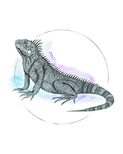 Komar Wandbild | Iguana Watercolor | Poster, Bild, Wohnzimmer, Schlafzimmer, Dekoration, Kunstdruck | ohne Rahmen | P077B-40x50 | Größe: 40 x 50 cm (Breite x Höhe) von Komar