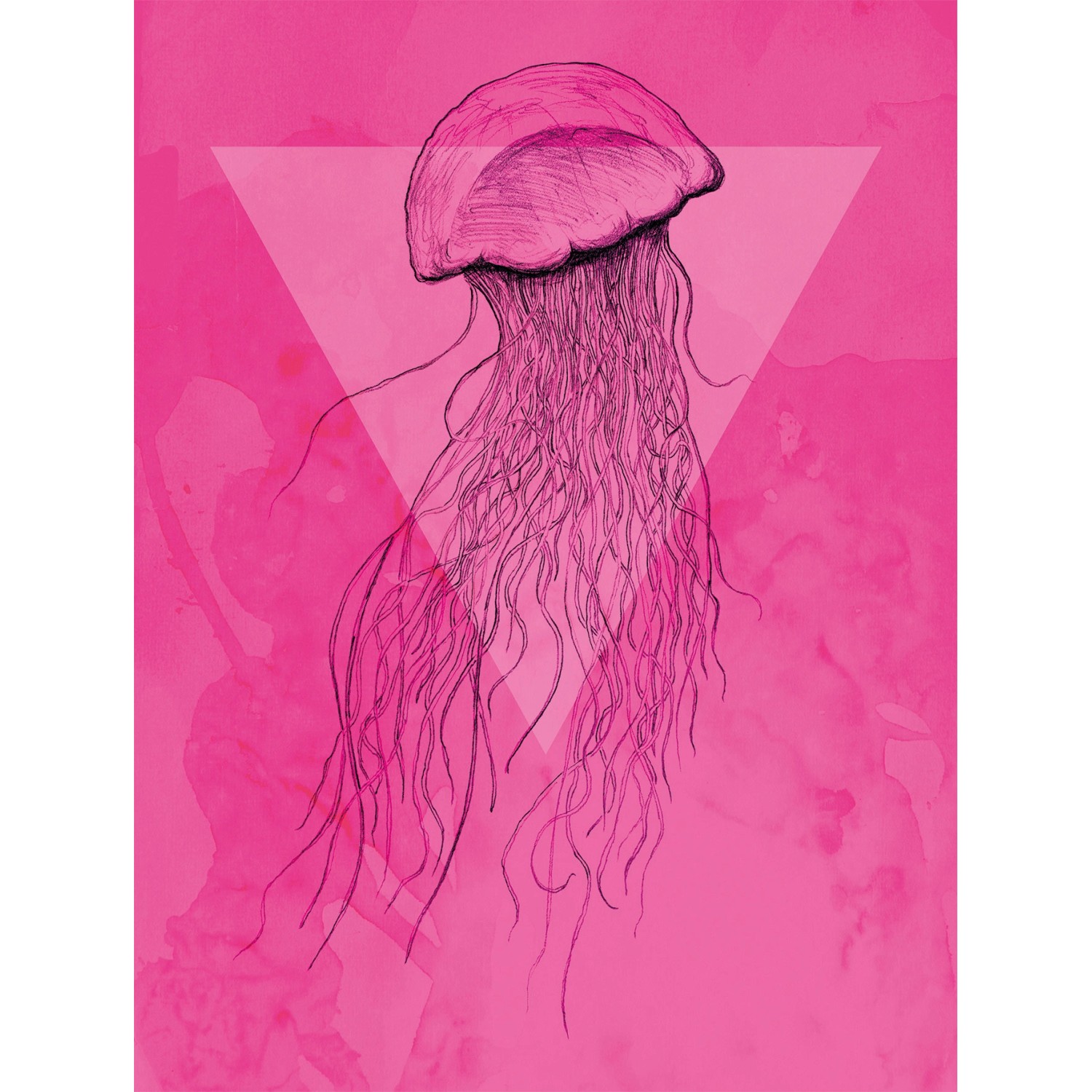 Komar Wandbild Jellyfish Pink 30 x 40 cm von Komar