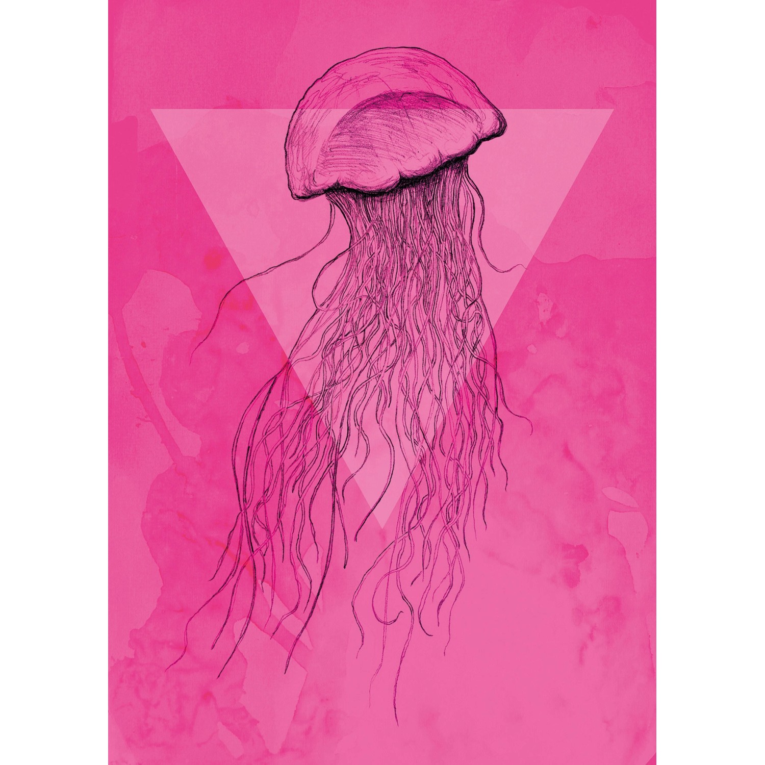 Komar Wandbild Jellyfish Pink 50 x 70 cm von Komar