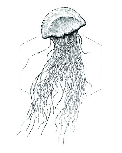 Komar Wandbild | Jellyfish White | Poster, Bild, Wohnzimmer, Schlafzimmer, Dekoration, Kunstdruck | ohne Rahmen | P078A-40x50 | Größe: 40 x 50 cm (Breite x Höhe) von Komar