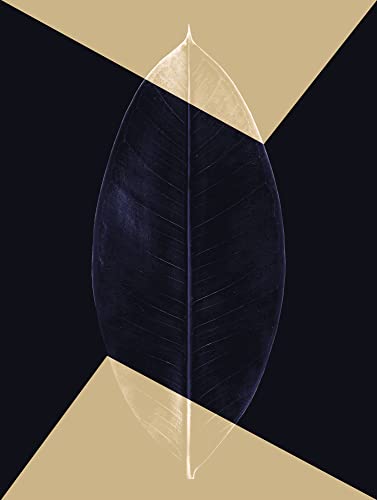 Komar Wandbild - Lotus Theatre - Größe: 30 x 40 cm - Poster, Kunstdruck, Dekoration, Wohnzimmer, Schlafzimmer Komar Wandbild - Lotus Theatre - Größe: 30 x 40 cm - Poster, Kunstdruck, Dekoration, Wohnzimmer, Schlafzimmer von Komar