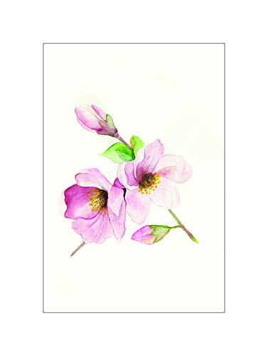 Komar Wandbild | Magnolia Breathe | Poster, Bild, Wohnzimmer, Schlafzimmer, Dekoration, Kunstdruck | ohne Rahmen | P073A-30x40 | Größe: 30 x40 cm (Breite x Höhe) von Komar