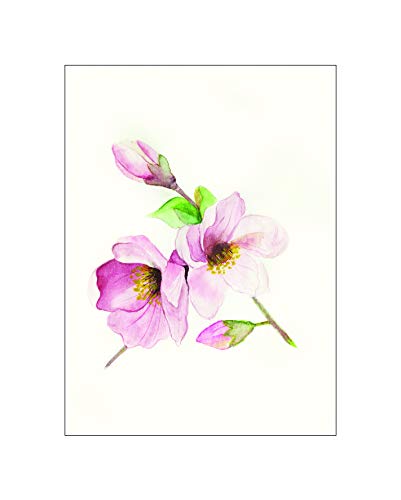 Komar Wandbild | Magnolia Breathe | Poster, Bild, Wohnzimmer, Schlafzimmer, Dekoration, Kunstdruck | ohne Rahmen | P073A-40x50 | Größe: 40 x 50 cm (Breite x Höhe) von Komar