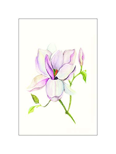 Komar Wandbild | Magnolia Shine | Poster, Bild, Wohnzimmer, Schlafzimmer, Dekoration, Kunstdruck | ohne Rahmen | P073B-30x40 | Größe: 30 x 40 cm (Breite x Höhe) von Komar