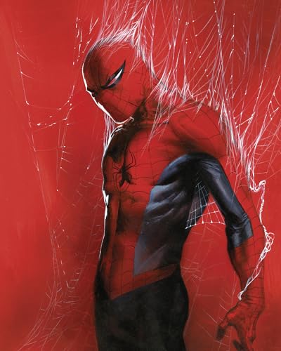 Komar Wandbild- Marvel Spider-Man Through the Spider Web - Größe 40 x 50 cm - Poster, Kinderzimmer, Dekoration - gerollt ohne Rahmen, Rot von Komar