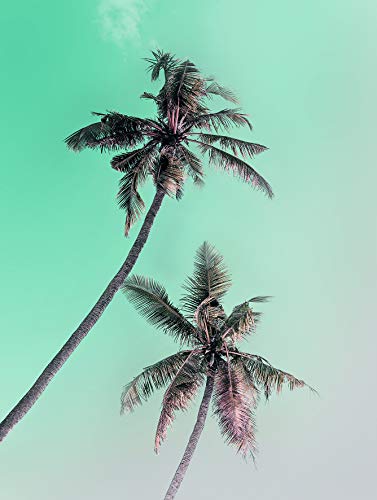 Komar Wandbild | Miami Palms | Poster, Bild, Wohnzimmer, Schlafzimmer, Dekoration, Kunstdruck | ohne Rahmen | P115-30x40 | Größe: 30 x 40 cm (Breite x Höhe) von Komar