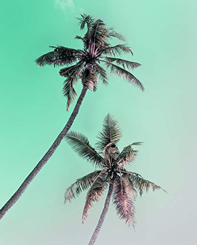Komar Wandbild | Miami Palms | Poster, Bild, Wohnzimmer, Schlafzimmer, Dekoration, Kunstdruck | ohne Rahmen | P115-40x50 | Größe: 40 x 50 cm (Breite x Höhe) von Komar