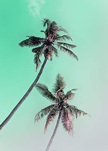 Komar Wandbild | Miami Palms | Poster, Bild, Wohnzimmer, Schlafzimmer, Dekoration, Kunstdruck | ohne Rahmen | P115-50x70 | Größe: 50 x 70 cm (Breite x Höhe) von Komar