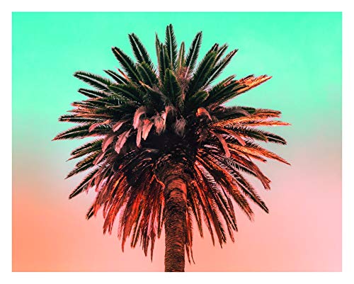 Komar Wandbild | Palm Tree | Poster, Bild, Wohnzimmer, Schlafzimmer, Dekoration, Kunstdruck | ohne Rahmen | P051-50x40 | Größe: 50 x 40 cm (Breite x Höhe) von Komar