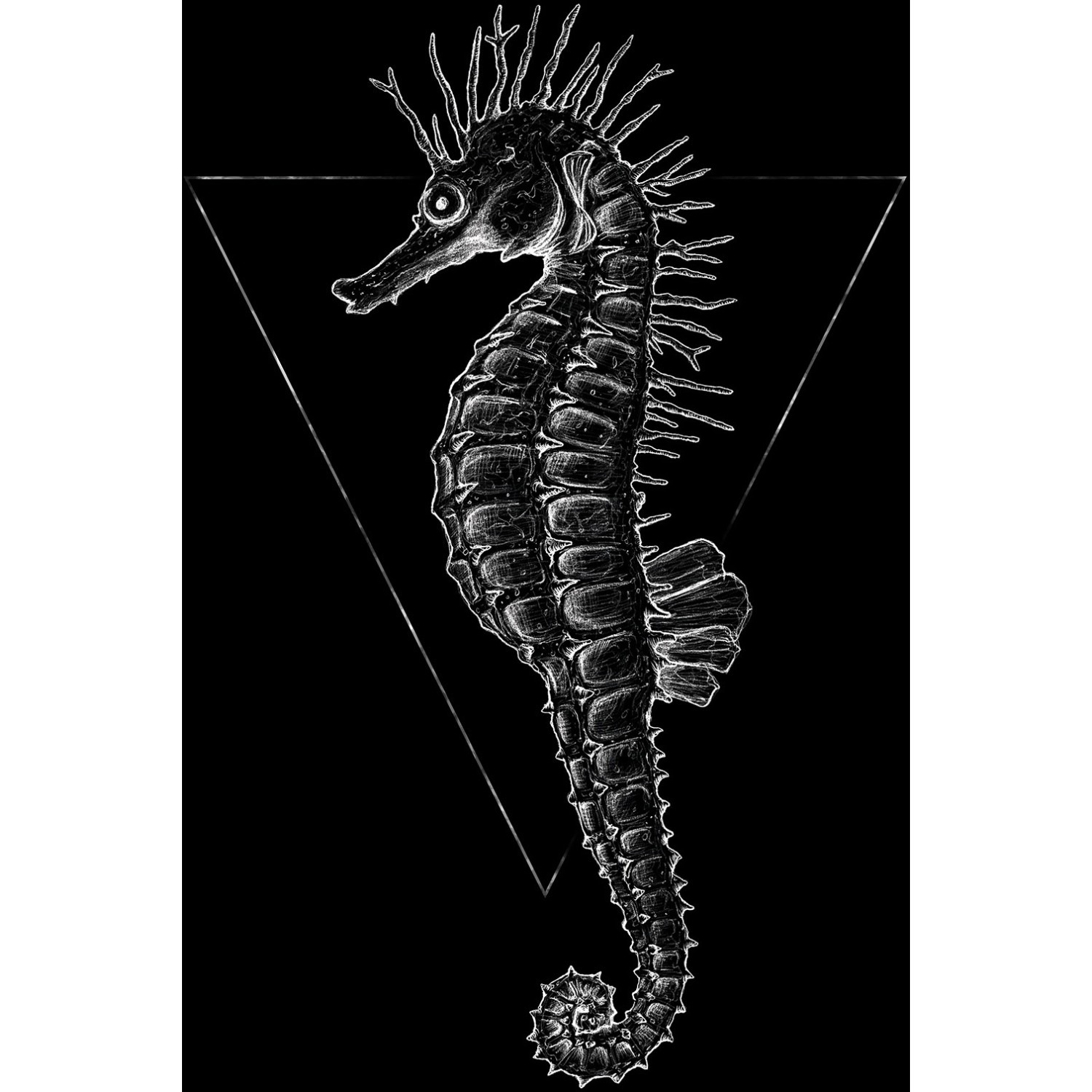 Komar Wandbild Sea Horse Black 30 x 40 cm von Komar