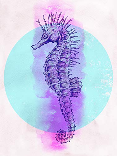 Komar Wandbild | Sea Horse Circle | Poster, Bild, Wohnzimmer, Schlafzimmer, Dekoration, Kunstdruck | ohne Rahmen | P079C-30x40 | Größe: 30 x 40 cm (Breite x Höhe) von Komar