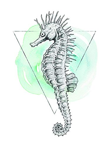 Komar Wandbild | Sea Horse Watercolor | Poster, Bild, Wohnzimmer, Schlafzimmer, Dekoration, Kunstdruck | ohne Rahmen | P079B-30x40 | Größe: 30 x 40 cm (Breite x Höhe) von Komar