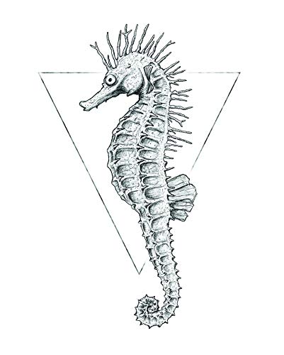 Komar Wandbild | Sea Horse White | Poster, Bild, Wohnzimmer, Schlafzimmer, Dekoration, Kunstdruck | ohne Rahmen | P079A-40x50 | Größe: 40 x 50 cm (Breite x Höhe) von Komar