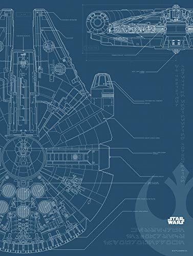 Komar Wandbild | Star Wars Blueprint Falcon | Kinderzimmer, Jugendzimmer, Dekoration, Kunstdruck | ohne Rahmen | WB176-30x40 | Größe: 30 x 40 cm (Breite x Höhe), Bunt von Komar