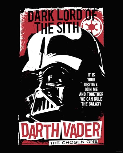 Komar Wandbild- Star Wars Darth Vader The Chosen One - Größe 40 x 50 cm - Poster, Kinderzimmer, Dekoration - gerollt ohne Rahmen von Komar