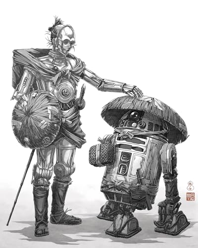 Komar Wandbild- Star Wars Vision Samurai Droids - Größe 40 x 50 cm - Poster, Kinderzimmer, Dekoration - gerollt ohne Rahmen von Komar