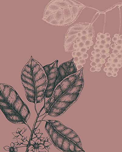 Komar Wandbild - Wild Berry - Größe: 40 x 50 cm - Poster, Kunstdruck, Dekoration, Wohnzimmer, Schlafzimmer Komar Wandbild - Wild Berry - Größe: 40 x 50 cm - Poster, Kunstdruck, Dekoration, Wohnzimmer, Schlafzimmer von Komar