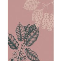 Komar Poster Wild Berry Pflanzen B/L: ca. 30x40 cm von Komar