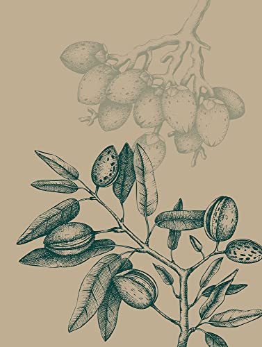 Komar Wandbild - Wild Mandolino - Größe: 30 x 40 cm - Poster, Kunstdruck, Dekoration, Wohnzimmer, Schlafzimmer Komar Wandbild - Wild Mandolino - Größe: 30 x 40 cm - Poster, Kunstdruck, Dekoration, Wohnzimmer, Schlafzimmer von Komar
