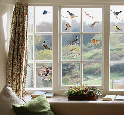 Komar Fenstersticker Vögel - Birds - 2 Bogen in der Größe 31 x 31 cm - Fensteraufkleber, Fensterdeko, Fensterfolie, Blaumeise, Kohlmeise, Rotkehlchen, Gartenvögel, gegen Vogelschlag von Komar
