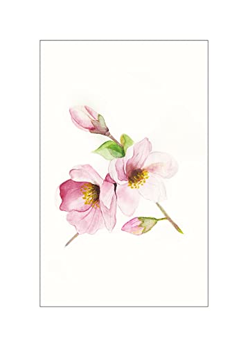 Komar Magnolia Breathe - Größe: 50 x 70 cm, Wandbild, Poster, Kunstdruck (ohne Rahmen), PURE Boutique von Komar