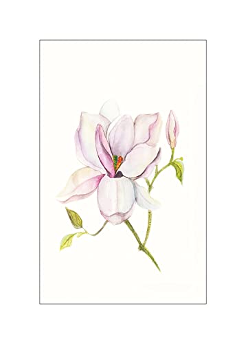 Komar Magnolia Shine - Größe: 50 x 70 cm, Wandbild, Poster, Kunstdruck (ohne Rahmen), PURE Boutique von Komar