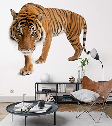 Komar NGX6-003 National Geographic Vlies Tiger-Größe 300 x 280 cm-Tapete, Wanddekoration, Tierporträt, Tierbild, Wohnzimmer Fototapete, braun, weiß, orange von Komar