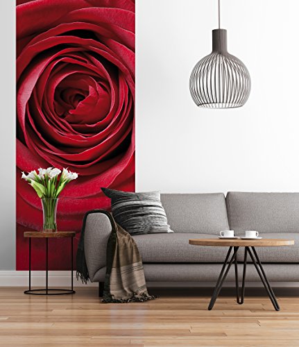 Sunny Decor | Fototapete RED ROSE | 92 x 220 cm | Tapete, Wand Dekoration, Rose, Liebe, Romantik, Natur, Blume, Wohnzimmer, Schlafzimmer | SD1010 von Komar