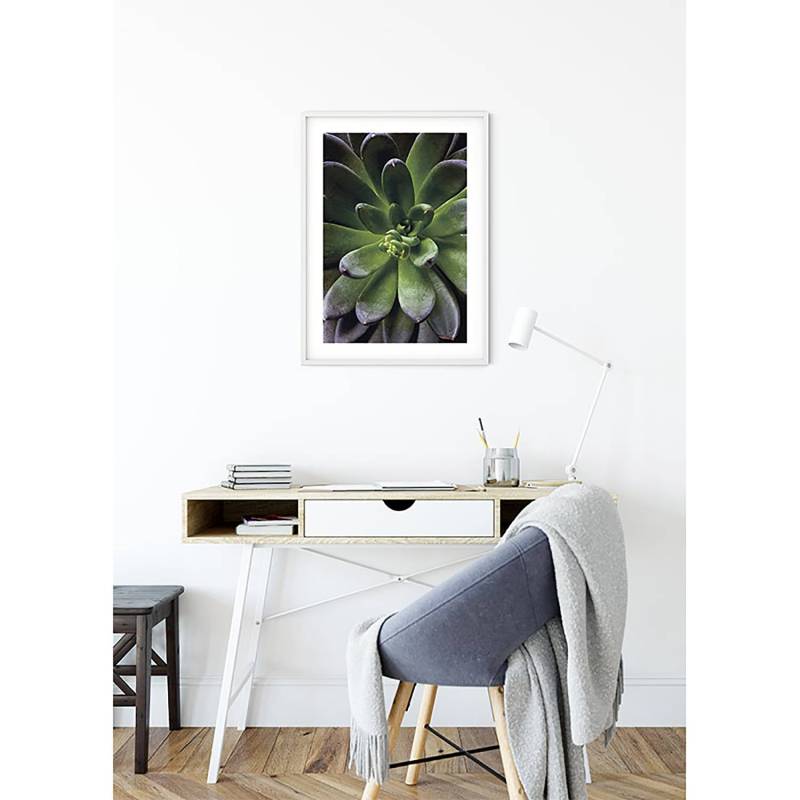 Wandbild Succulent Single von Komar